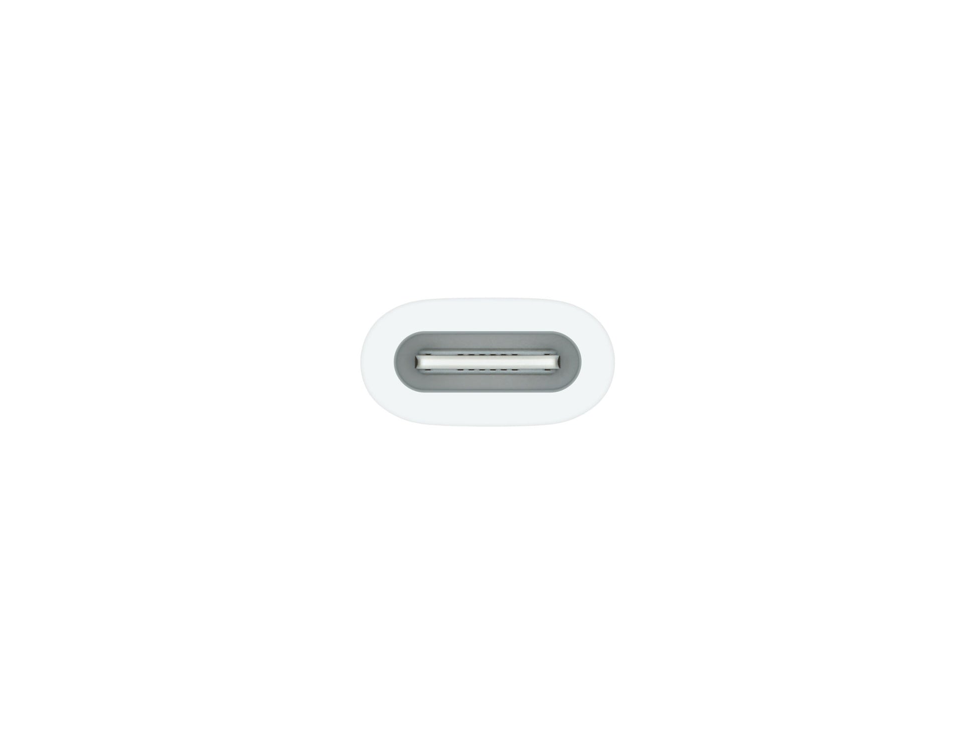 Apple USB-C to Apple Pencil Adapter - South Port™