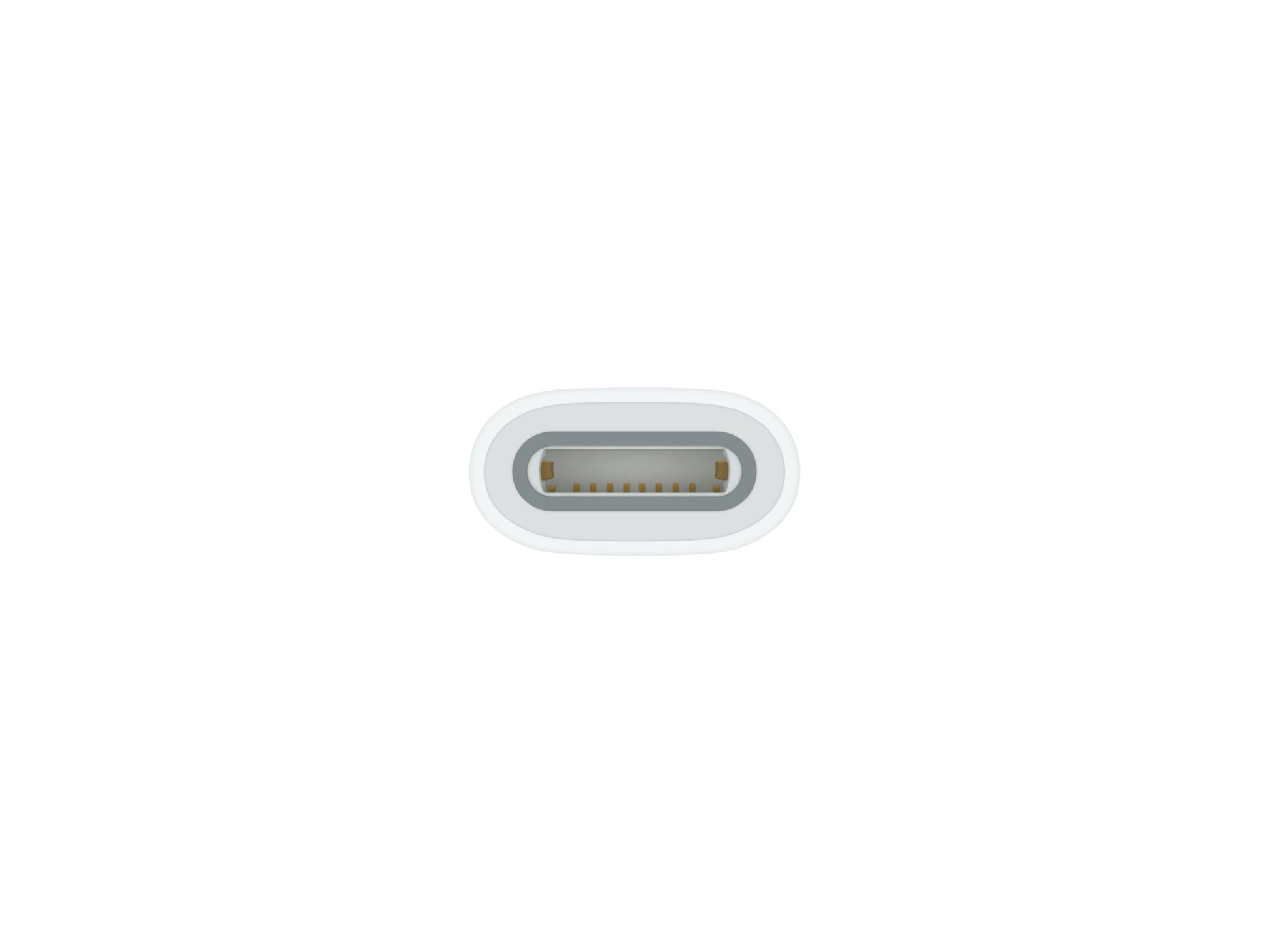 Apple USB-C to Apple Pencil Adapter - South Port™