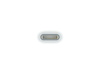 Apple USB-C to Apple Pencil Adapter - South Port™